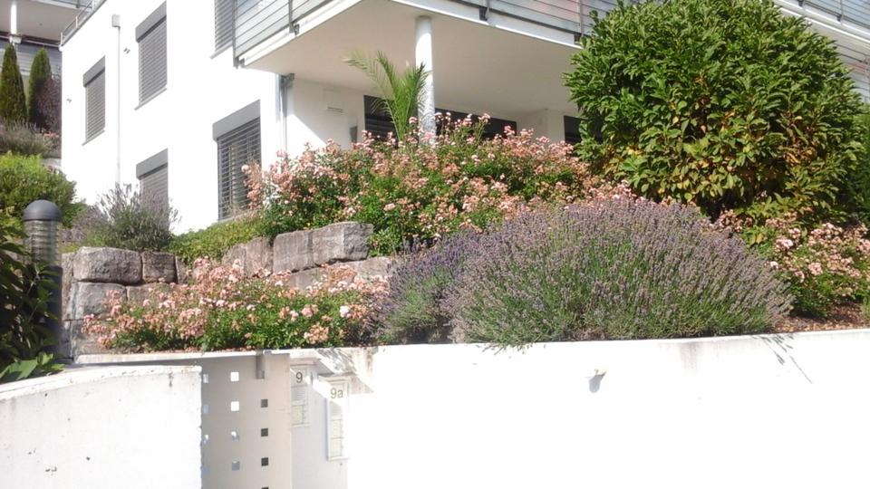 Erdgeschoßwohnung Lindau (Bodensee) - 2.5 Zimmer, 66 m&sup2;, 1.190&euro; | Angebot:24830358