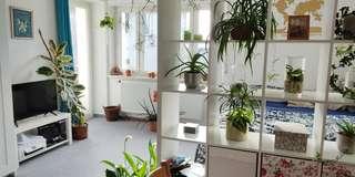 Etagenwohnung Augsburg Universitätsviertel - 1 Zimmer, 34 m&sup2;, 420&euro; | Angebot:26625184