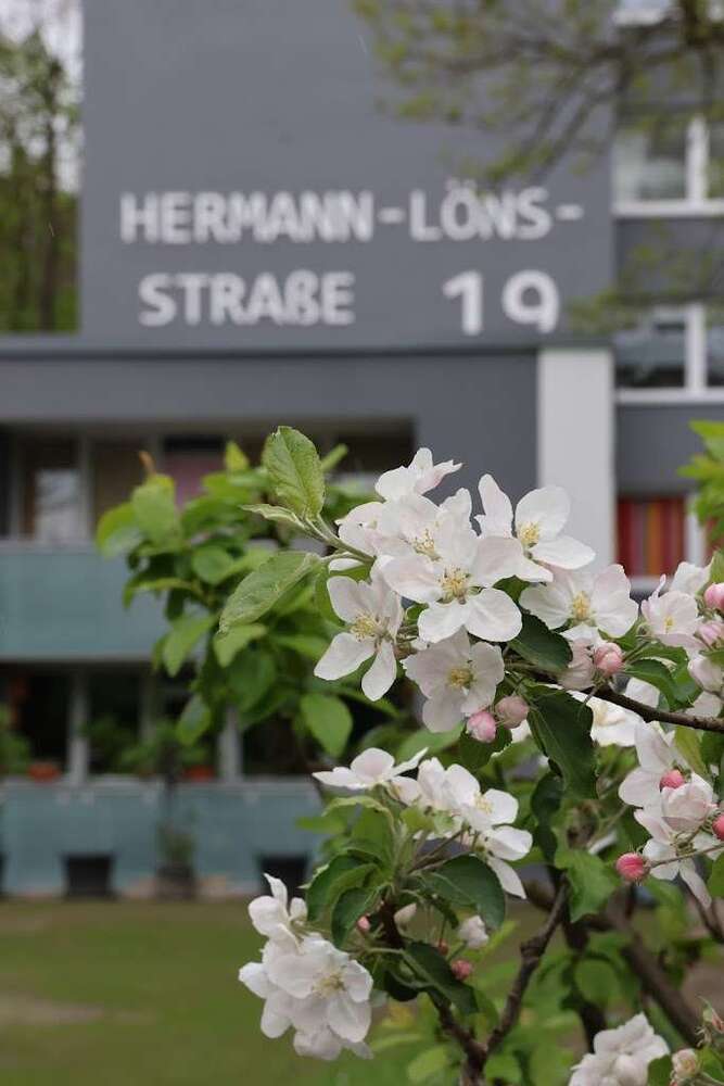 Wohnung zum Mieten in Herne 246,40 € 32 m²
