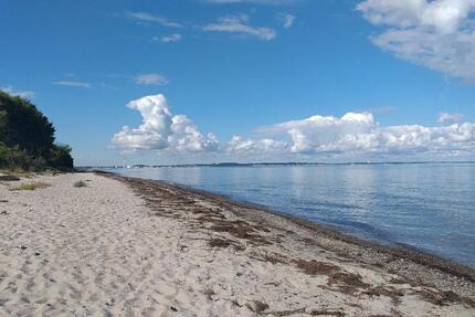 Wohnung Klütz - 2 Zimmer, 72 m&sup2;, 600&euro; | Angebot:25270970