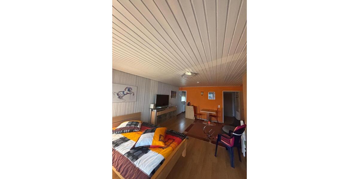 vollmöbilierte schöne 1-Zimmer Wohnung inkl. EBK + Garagenstellplatz zu vermieten 1 zimmer