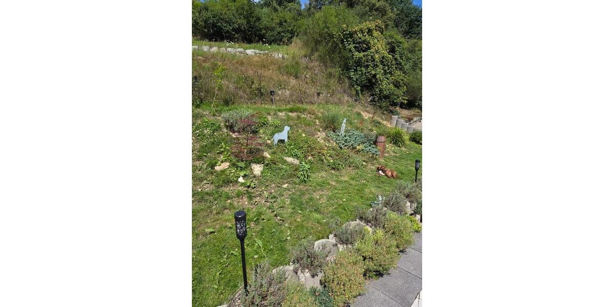 einmalige Terrassenwohnung mit Einbauküche ab 1.4.2026 2.5 zimmer