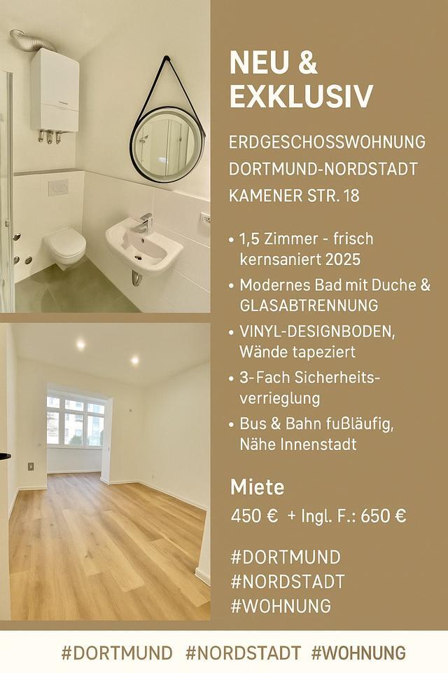 Neue Exclusive Erdgeschoss Wohnung in Dortmund-Nordstadt