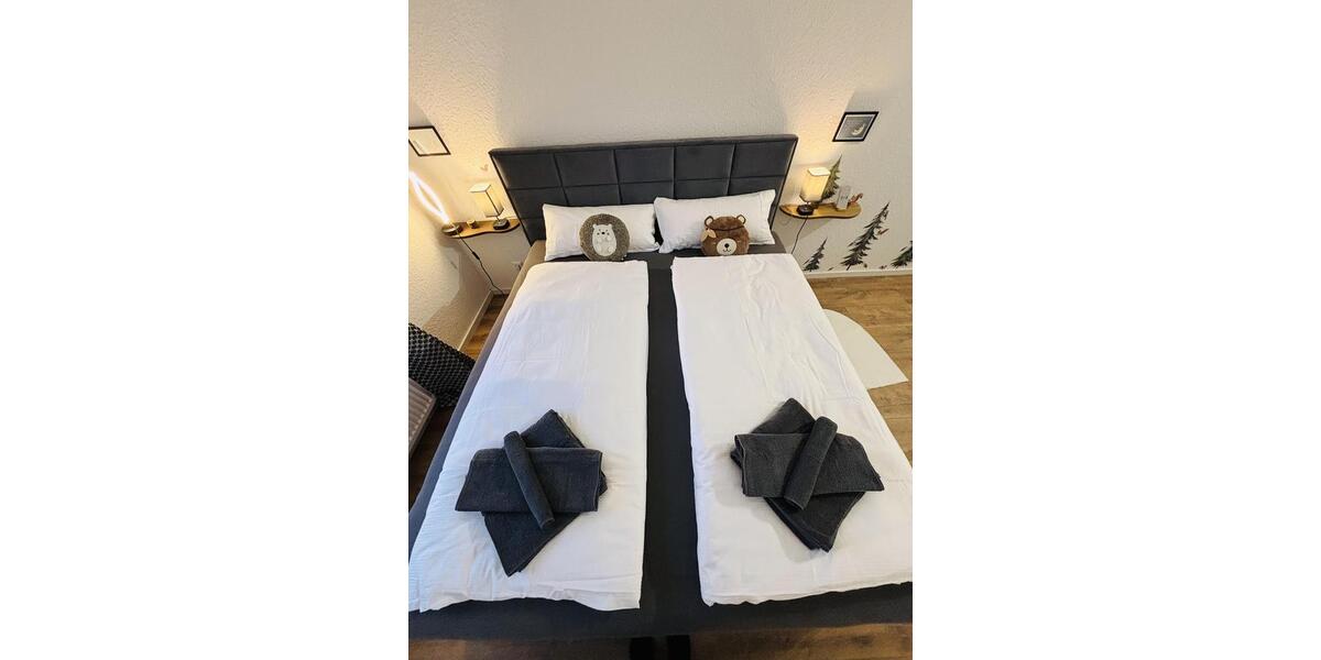 Etagenwohnung Goslar - 2 Zimmer, 40 m&sup2;, 540&euro; | Angebot:24837724