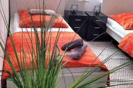 Wohnen auf Zeit in Mainz 1.300 € 1 zimmer