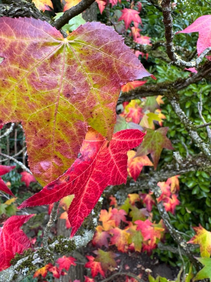 REH Langenfeld ab 0326 4 zimmer