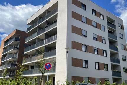 Wohnung zum Mieten in Dresden 960 € 79.5 m² 3 zimmer