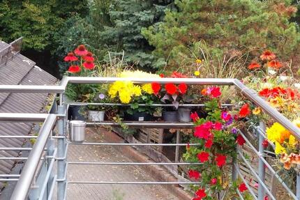 Wohnen auf Zeit Osnabrück Fledder - 4 Zimmer, 18 m&sup2;, 500&euro; | Angebot:24977323