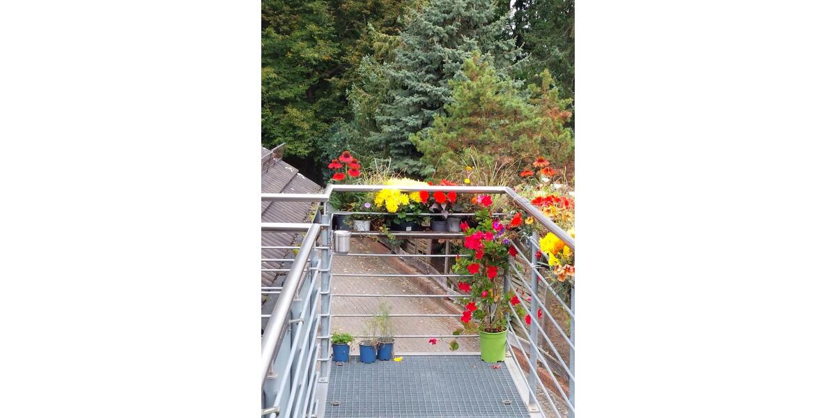 Wohnen auf Zeit Osnabrück Fledder - 4 Zimmer, 18 m&sup2;, 500&euro; | Angebot:24977323