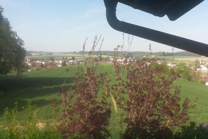 Wohnung Bad Birnbach Asenham - 3 Zimmer, 590&euro; | Angebot:23602698