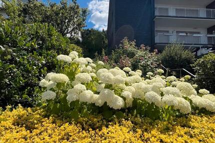 Großzügige Wohnung über 2 Etagen mit Blick über Arnsberg 2 zimmer
