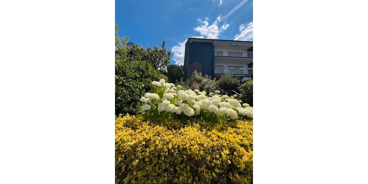 Großzügige Wohnung über 2 Etagen mit Blick über Arnsberg 2 zimmer