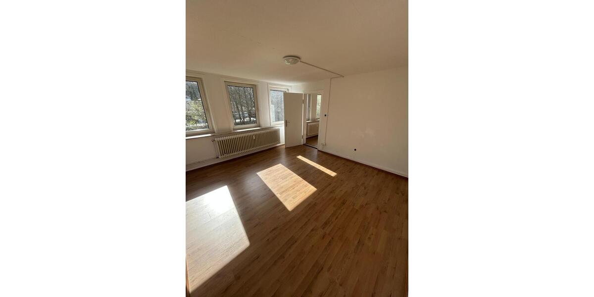 Tolle 4 Zimmer Wohnung renoviert in Osterode am Harz 4 zimmer