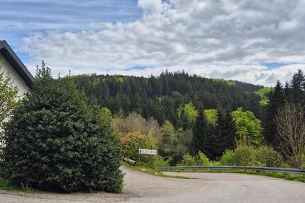 Wohnung Willingen (Upland) - 2 Zimmer, 60 m&sup2;, 340&euro; | Angebot:25120710