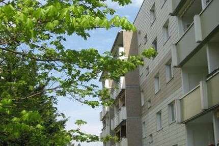 Wohnung Schkeuditz Altscherbitz - 3 Zimmer, 60 m&sup2;, 540&euro; | Angebot:27449502