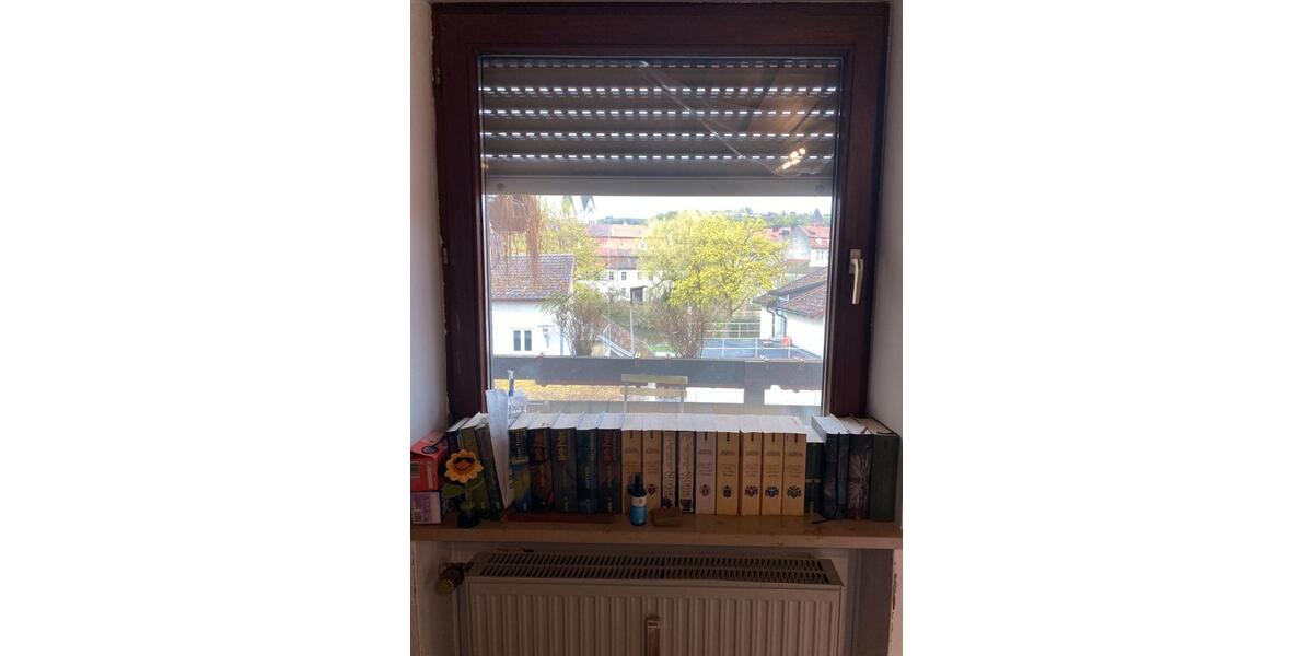 Wohnen auf Zeit Ingolstadt Münchener Straße - 1 Zimmer, 20 m&sup2;, 325&euro; | Angebot:26150300