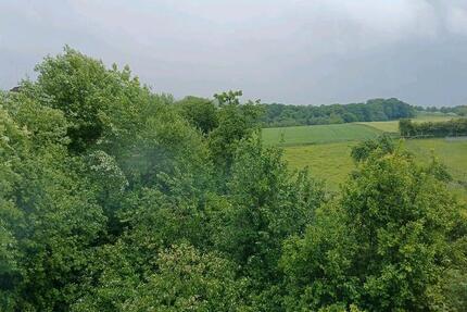 Dachgeschoss Wohnung ab März zu vermieten 2 zimmer