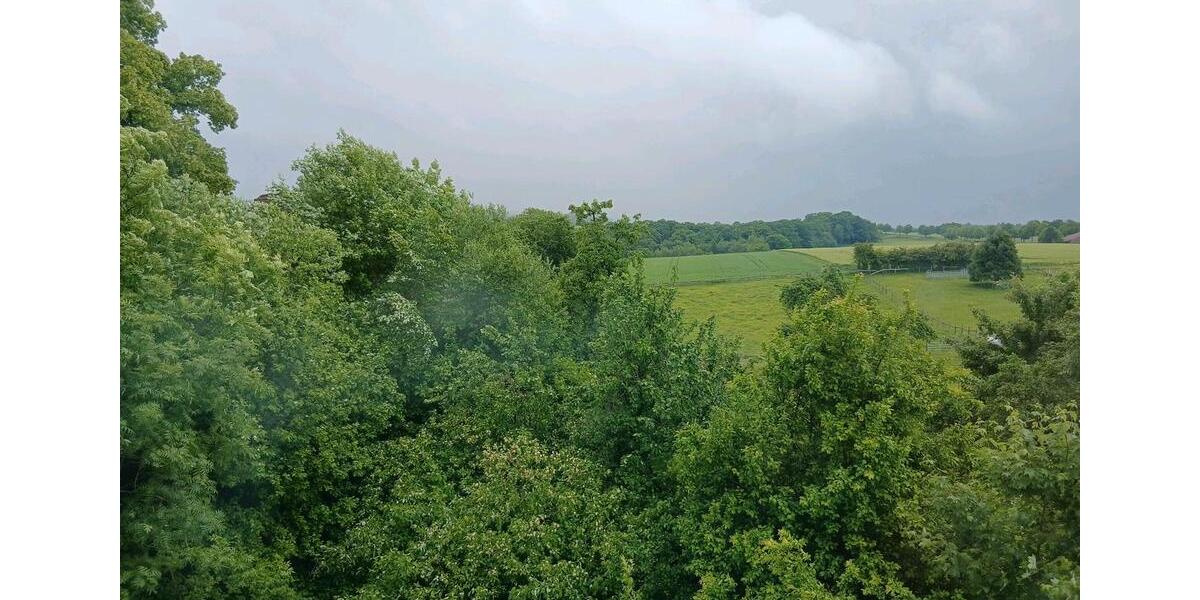 Dachgeschoss Wohnung ab März zu vermieten 2 zimmer