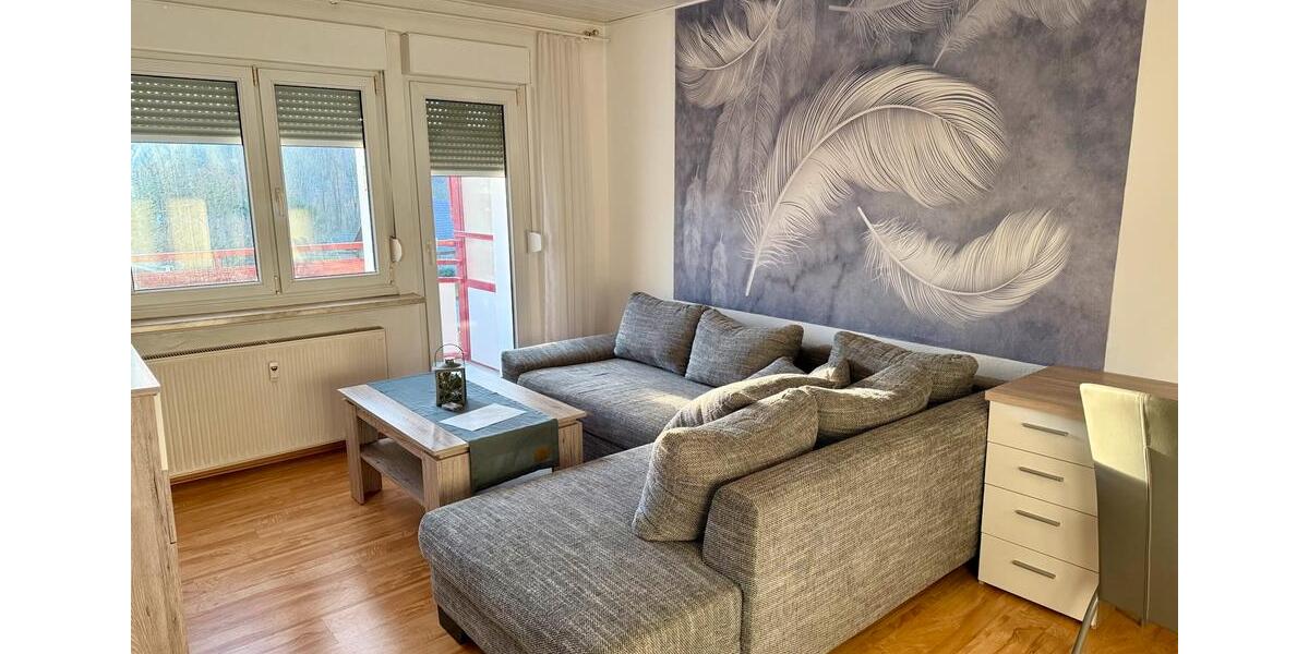 2 Raum Wohnung, voll möbliert, Balkon, EBK, ,Waschmaschine, DG 2 zimmer