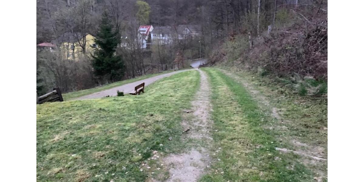 Erdgeschoßwohnung Bad Sachsa - 2 Zimmer, 51 m&sup2;, 400&euro; | Angebot:24676734