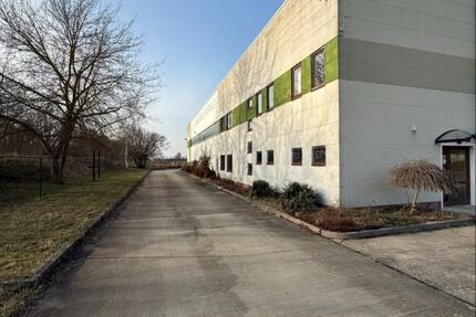 Gewerbeobjekt Vetschau/Spreewald Spreewald - 650&euro; | Angebot:25660174