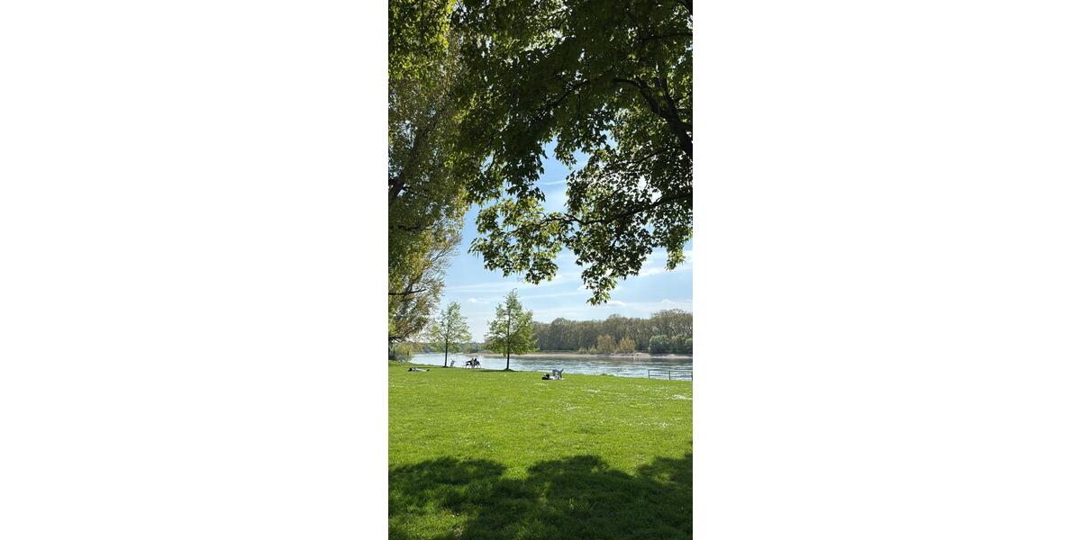 Etagenwohnung Mannheim Almenhof - 3 Zimmer, 79 m&sup2;, 1.000&euro; | Angebot:26580167