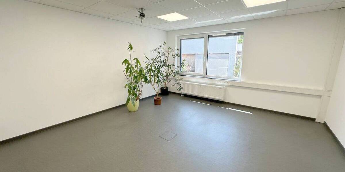 Gewerbeobjekt Trier Trier-West-Pallien - 1 Zimmer, 300 m&sup2;, 4.500&euro; | Angebot:26787579