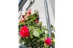 Feldarbeiter Handwerken MonteursWohnung in Marktleuthen