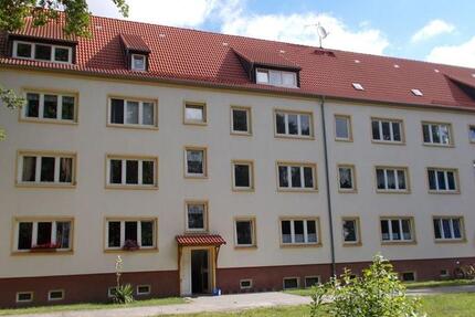 Wohnung Dommitzsch - 3 Zimmer, 60 m&sup2;, 330&euro; | Angebot:26419900