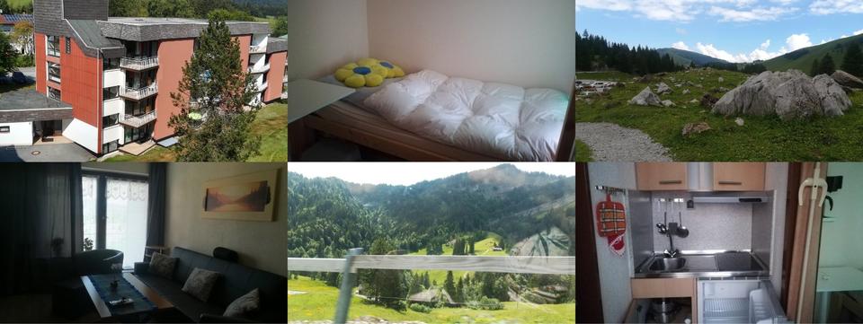 Erdgeschoßwohnung Neureichenau - 1.5 Zimmer, 33 m&sup2;, 320&euro; | Angebot:26252395