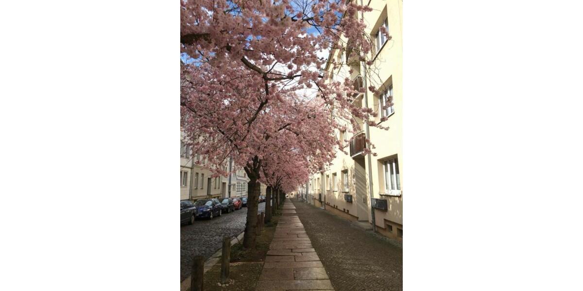 Dachgeschoßwohnung Halle (Saale) - 2 Zimmer, 49 m&sup2;, 570&euro; | Angebot:26661251