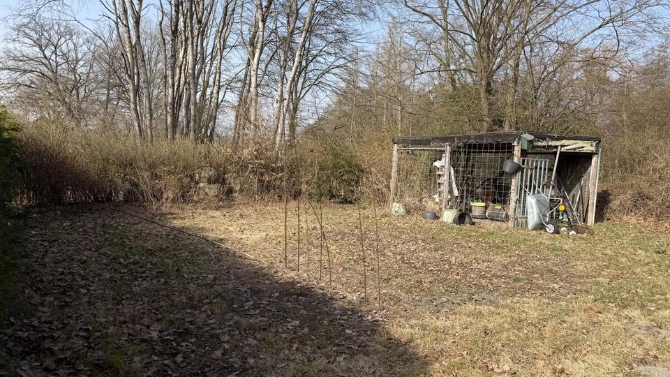 Erdgeschoßwohnung Walsrode - 4 Zimmer, 150 m&sup2;, 1.190&euro; | Angebot:25640478