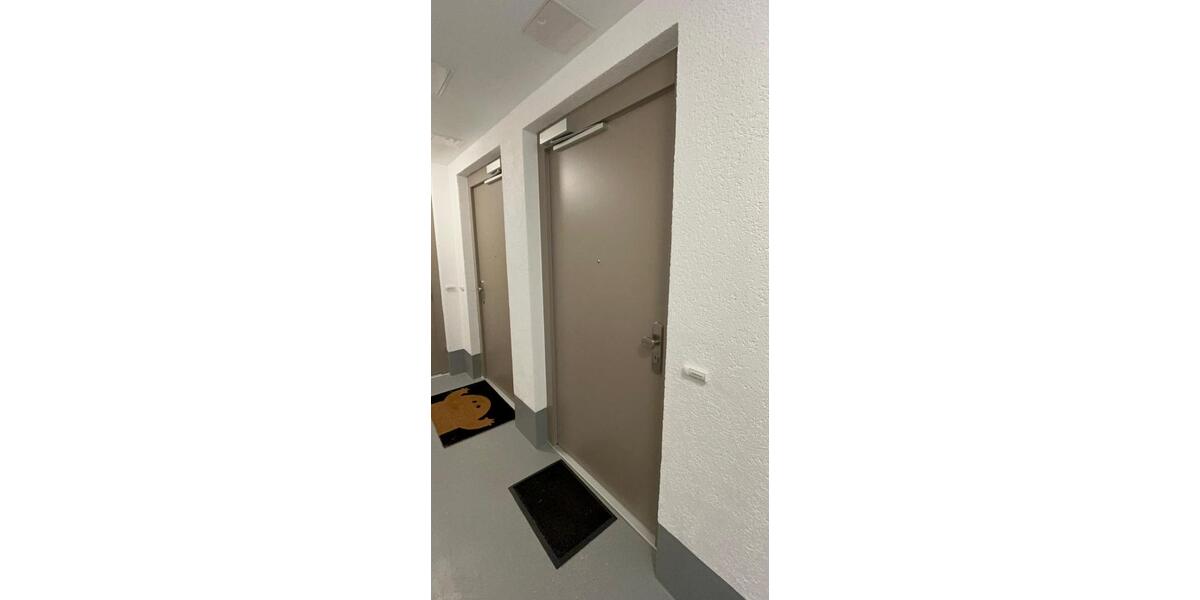Helle, frisch renovierte 1-Zimmer-Wohnung (ca. 20 m²) 1 zimmer