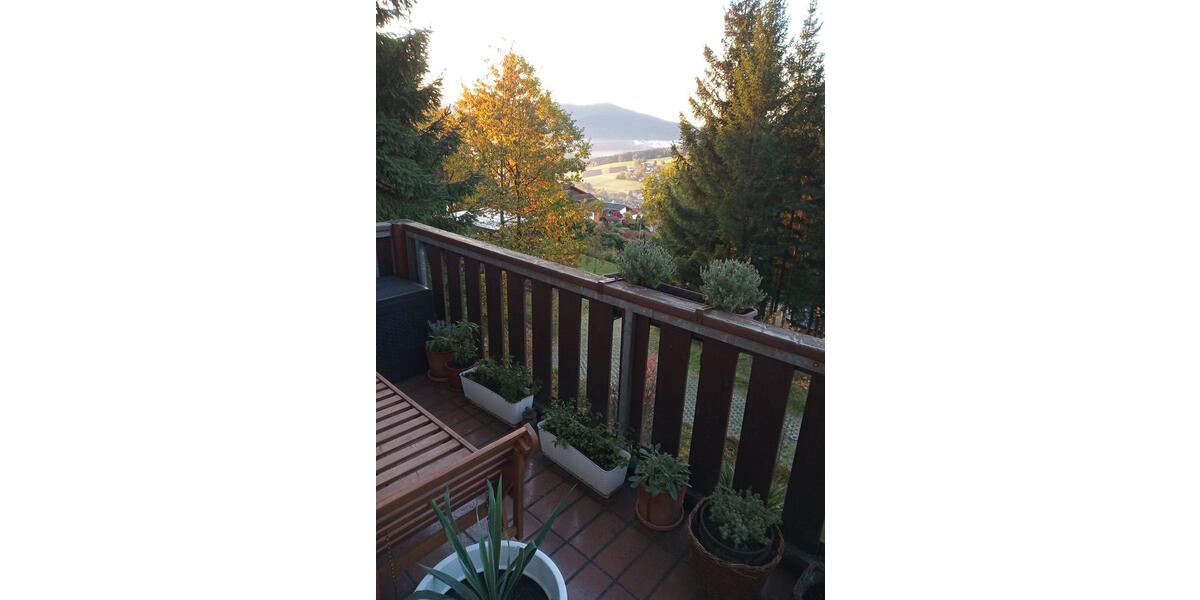 Etagenwohnung Rimbach - 2 Zimmer, 50 m&sup2;, 370&euro; | Angebot:26306472