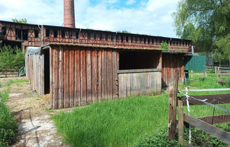 Gewerbeobjekt Hohenmölsen - 8&euro; | Angebot:26701709