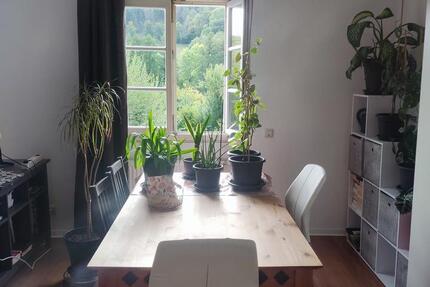 1-Zimmer Whg ab 15.10 Engelskirchen Wallefeld