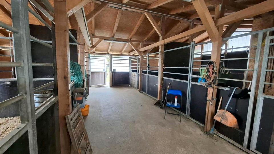 Etagenwohnung Petershagen - 4 Zimmer, 106 m&sup2;, 1.500&euro; | Angebot:26695588