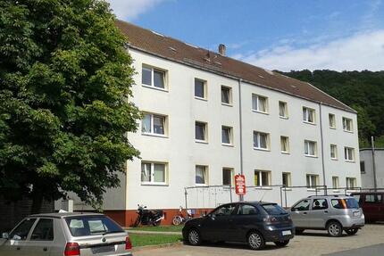 Wohnung Sangerhausen - 2 Zimmer, 53 m&sup2;, 290&euro; | Angebot:25204329
