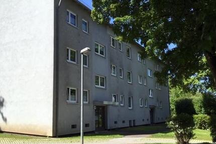 Wohnung Kassel Bettenhausen - 2 Zimmer, 50 m&sup2;, 444&euro; | Angebot:26657699