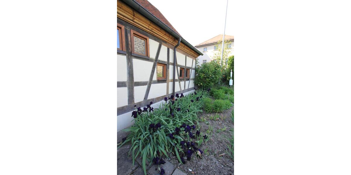 Einfamilienhaus Bad Wimpfen - 9 Zimmer, 252 m&sup2;, 1.950&euro; | Angebot:19418069