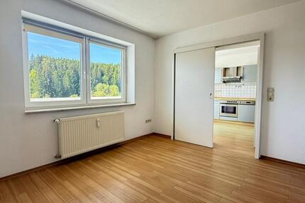 2-Zimmer Souterrainwohnung mit großem Südbalkon 2 zimmer