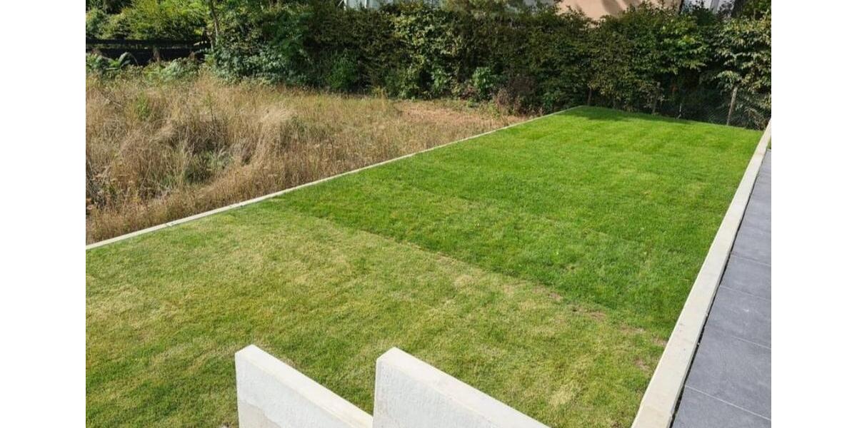 Doppelhaushälfte Alfeld (Leine) - 3 Zimmer, 120 m&sup2;, 1.500&euro; | Angebot:24417104