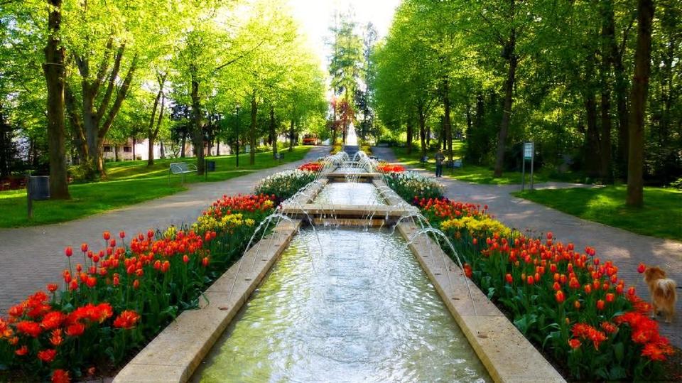 Maisonettenwohnung Bad Camberg - 2 Zimmer, 65 m&sup2;, 1.100&euro; | Angebot:24875751