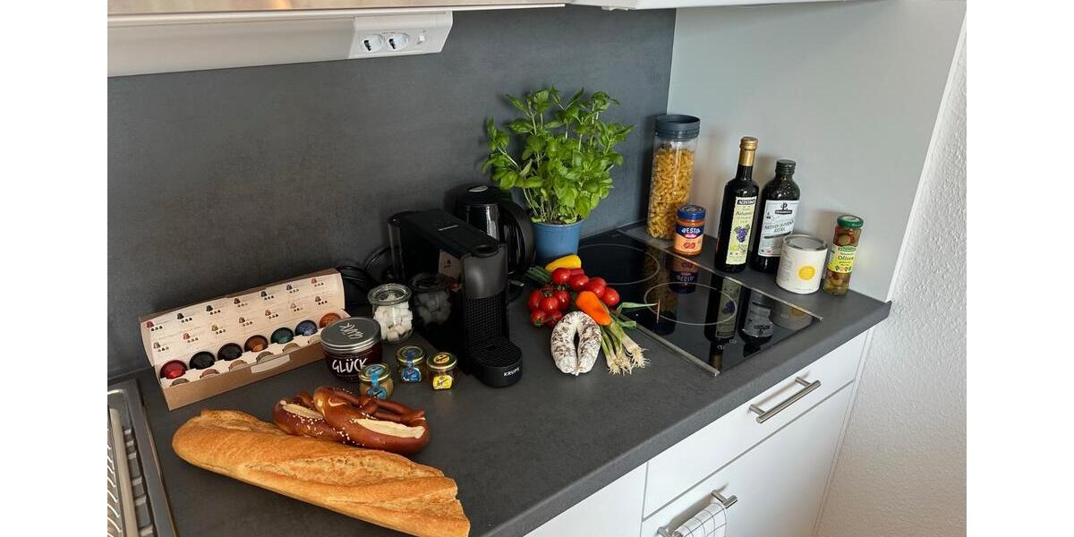 Wohnen auf Zeit Ludwigsburg Eglosheim - 1 Zimmer, 23 m&sup2;, 1.200&euro; | Angebot:24754469