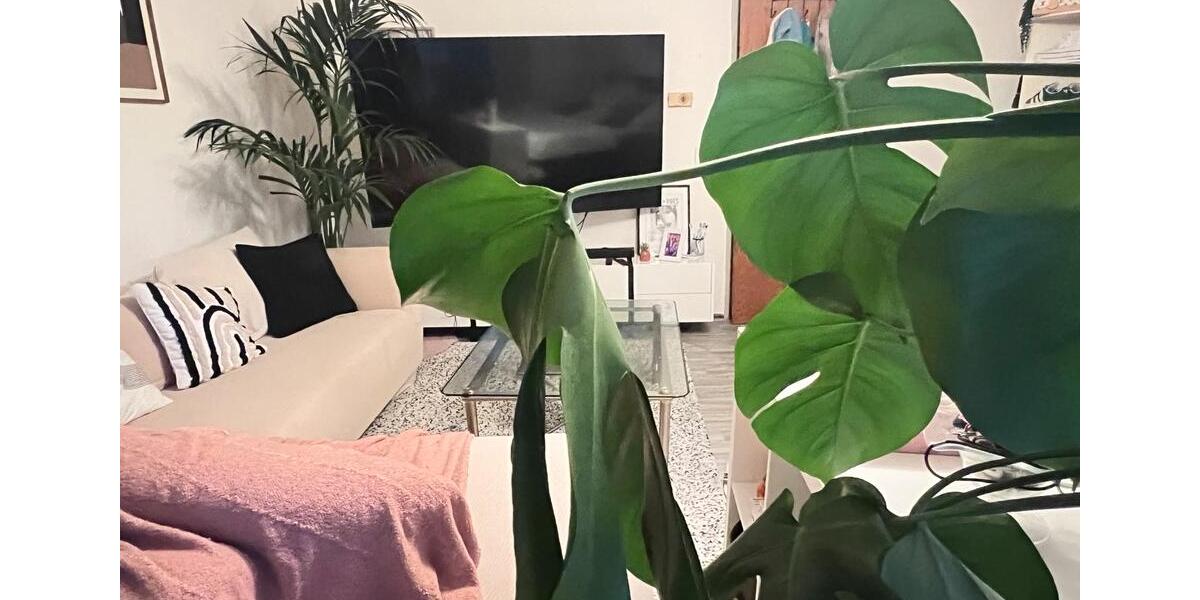 Wohnen auf Zeit Alsdorf - 3 Zimmer, 92 m&sup2;, 450&euro; | Angebot:25963301