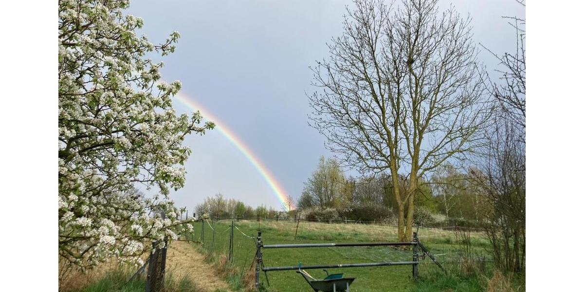 Wohnen auf Zeit Bad Münder am Deister - 1 Zimmer, 32 m&sup2;, 500&euro; | Angebot:25378824