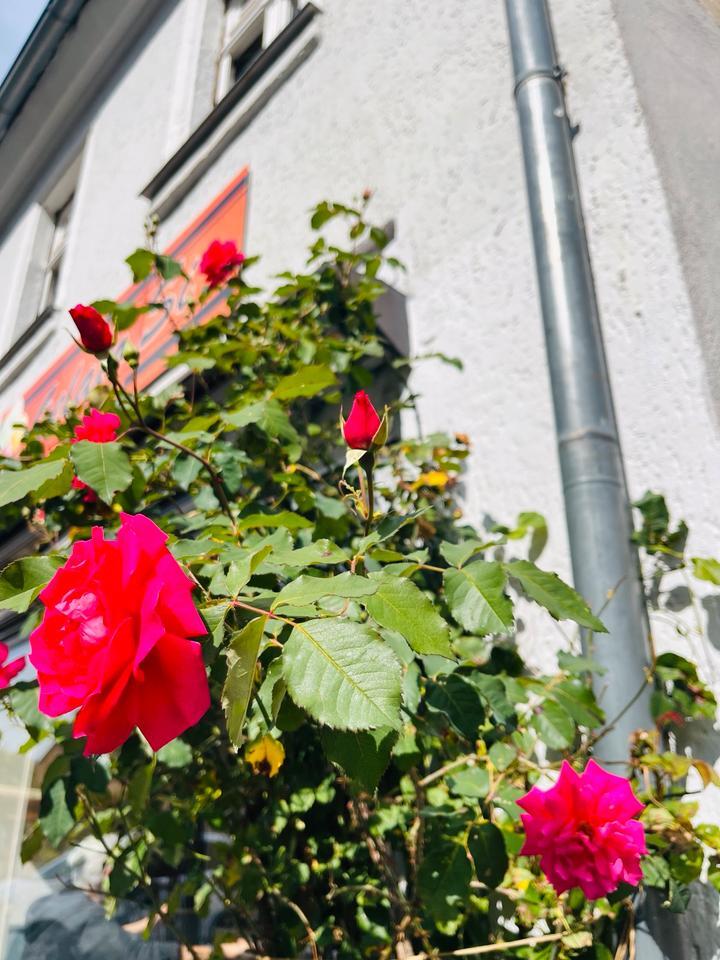 Feldarbeiter Handwerken MonteursWohnung in Marktleuthen