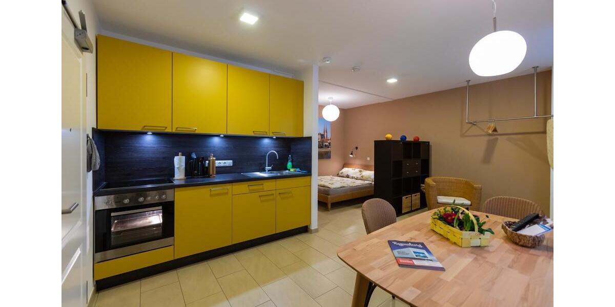 Exklusive 1-Zimmer Wohnung in der Regensburger Altstadt |möbliert 1 zimmer