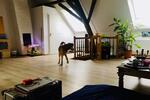 Geräumiges Dachgeschoss in tierfreundlichem Haus mit Garten 1 zimmer