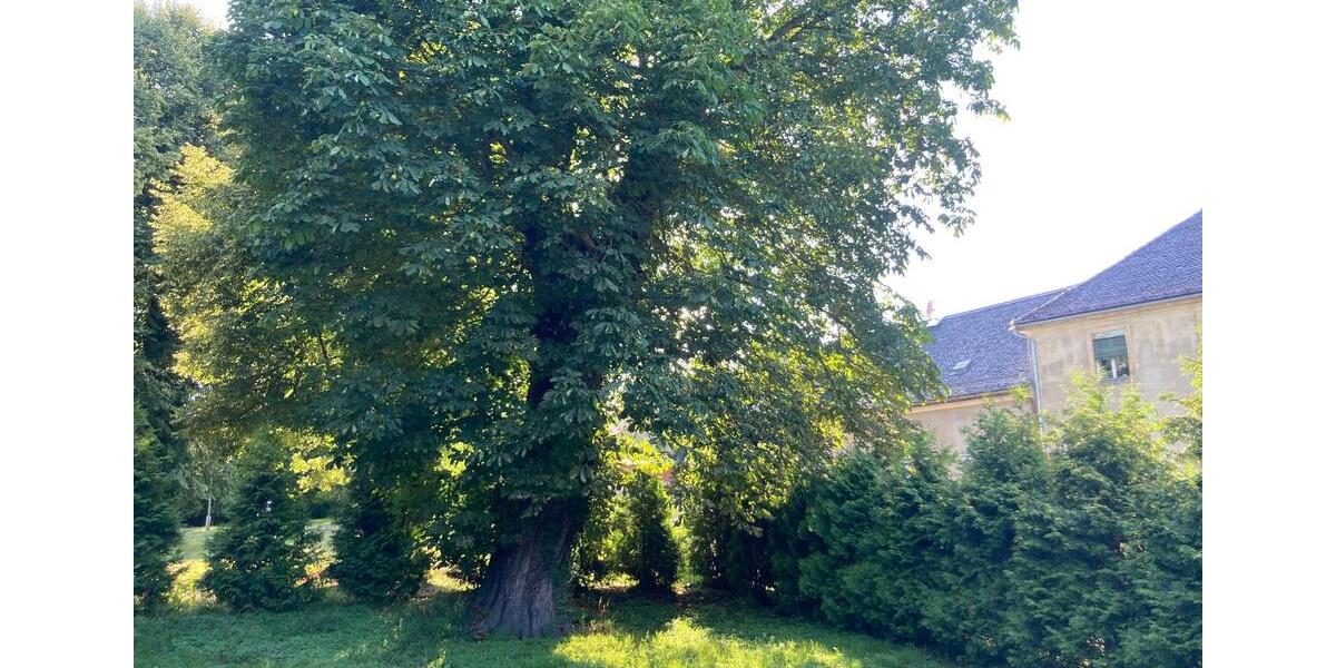 Einfamilienhaus Haselbachtal - 2 Zimmer, 118 m&sup2;, 849&euro; | Angebot:26149756